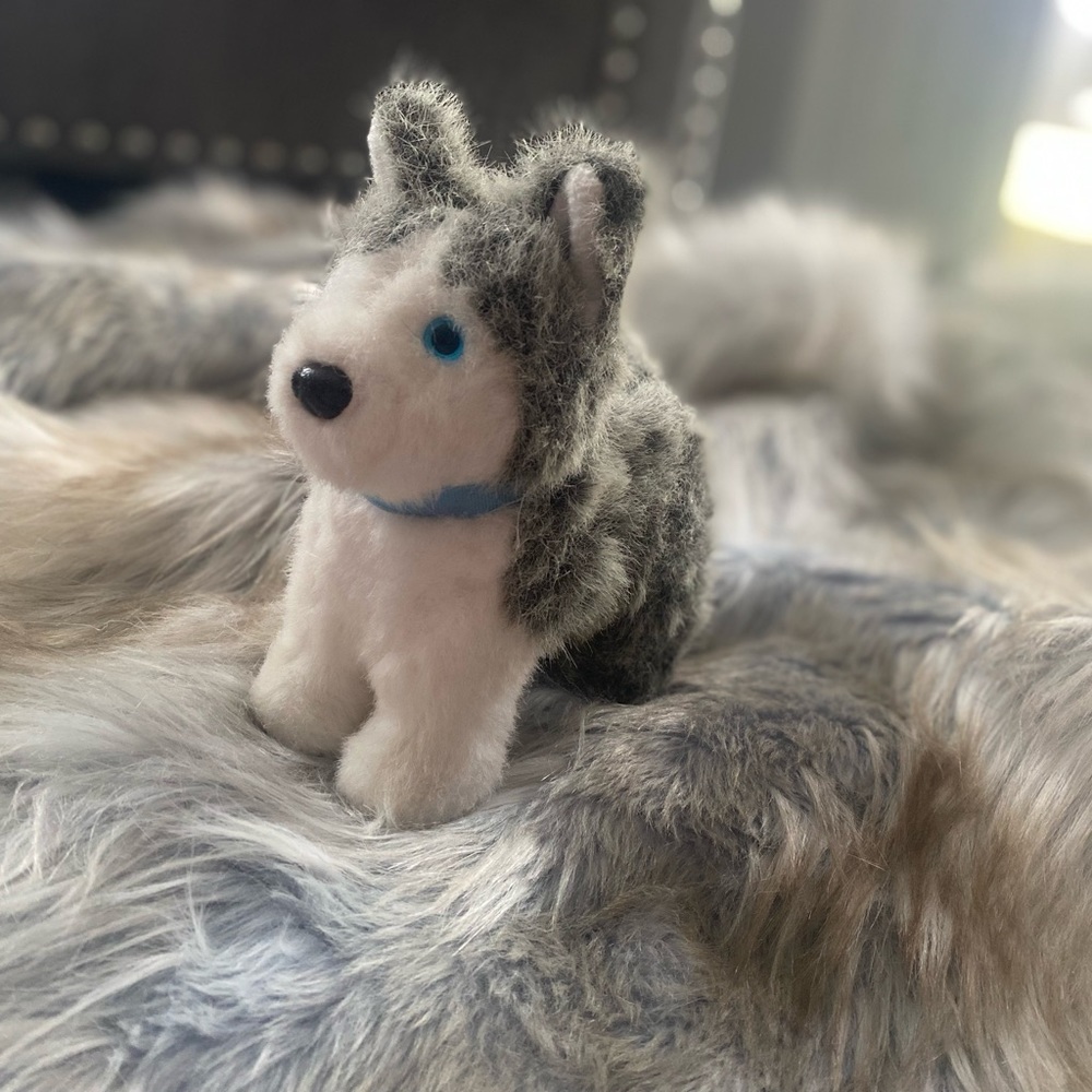 American Girl dog